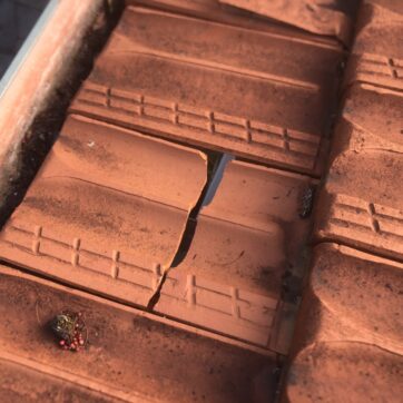 Broken roof tile 5