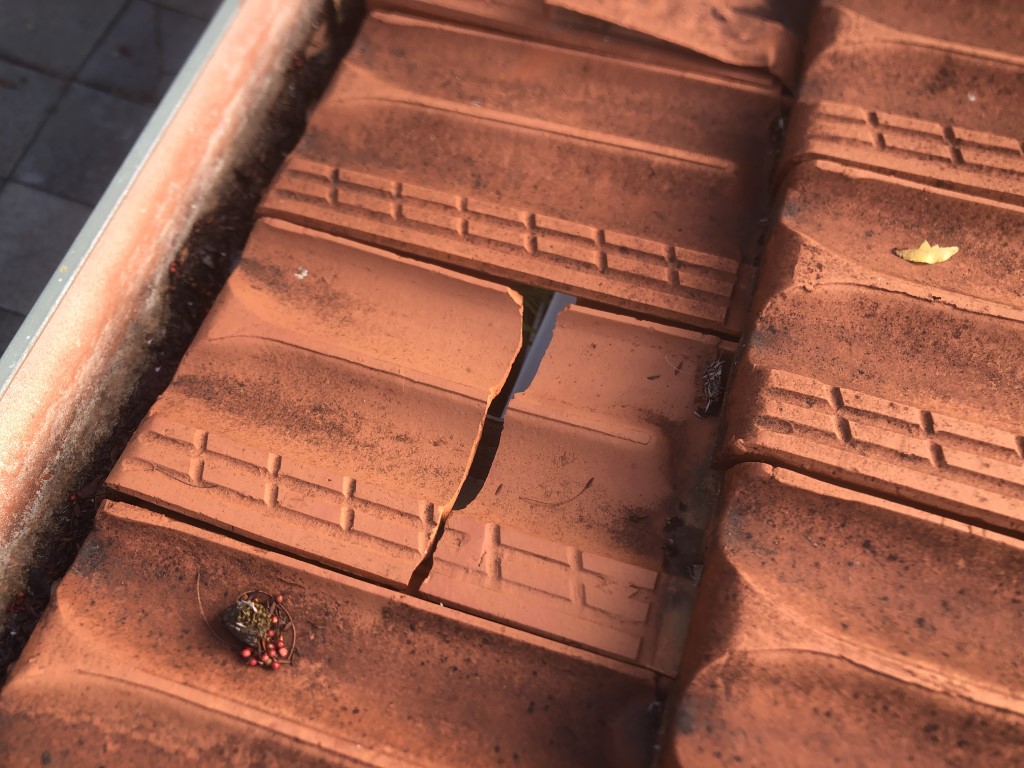 Broken roof tile 5