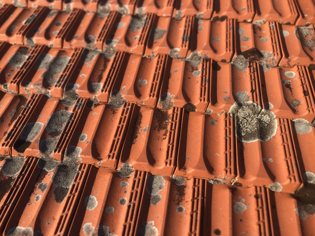 Dirty terracotta tiled roof with lichen moss dirt and grime